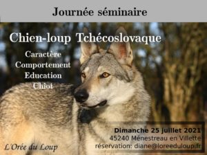 formation-chien-loup-tchecoslovaque