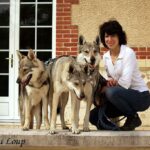 l'orée du loup à l'exposition canine de Chartres