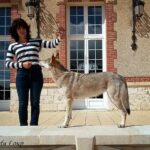 Oural de l'Orée du Loup Best of Breed en exposition canine