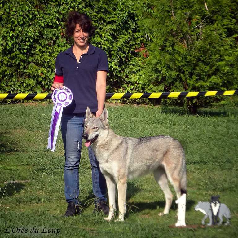 L'orée du Loup - Exposition canine de Betanzos - Oural