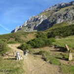 Randonnée à Picos de Europa - l'orée du Loup