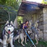 Randonnée à Picos de Europa - l'orée du Loup