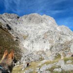 Randonnée à Picos de Europa - l'orée du Loup