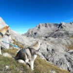 Randonnée à Picos de Europa - l'orée du Loup