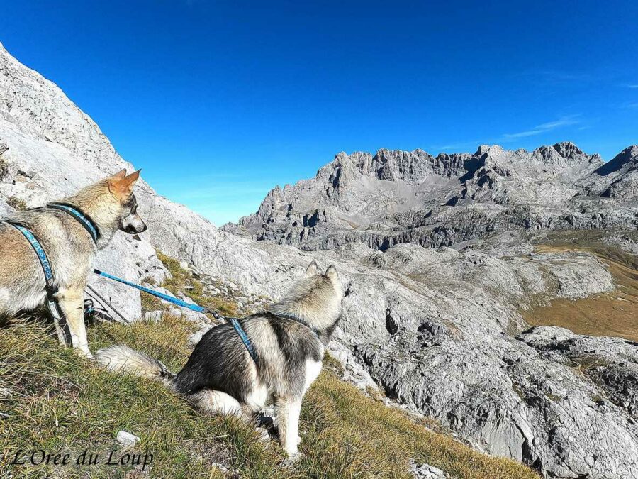 Randonnée à Picos de Europa - l'orée du Loup