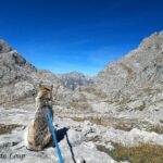 Randonnée à Picos de Europa - l'orée du Loup