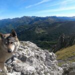 Randonnée à Picos de Europa - l'orée du Loup