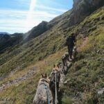 Randonnée à Picos de Europa - l'orée du Loup