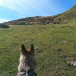 Randonnée à Picos de Europa - l'orée du Loup