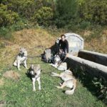 Randonnée à Picos de Europa - l'orée du Loup