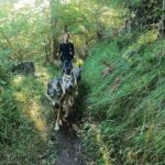 Randonnée à Picos de Europa - l'orée du Loup