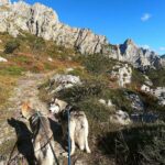 Randonnée à Picos de Europa - l'orée du Loup