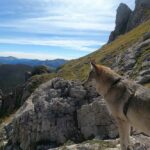 Randonnée à Picos de Europa - l'orée du Loup