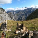 Randonnée à Picos de Europa - l'orée du Loup