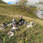 Randonnée à Picos de Europa - l'orée du Loup