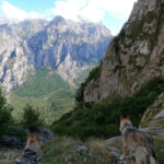 Randonnée à Picos de Europa - l'orée du Loup