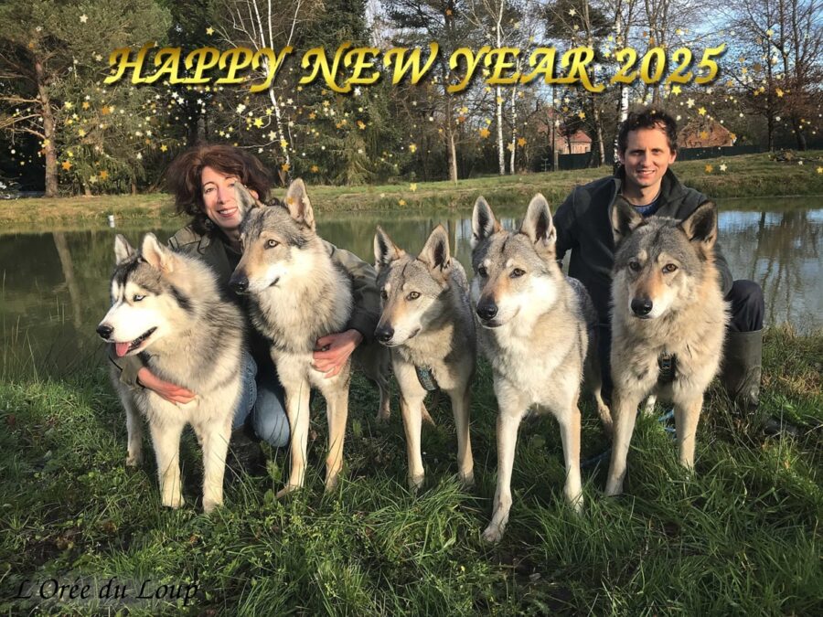 bonne année 2025