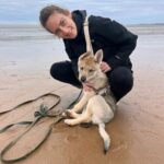 chiot chien-loup tchécoslovaque Aïka de l'Orée du Loup