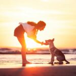 Des nouvelles des chiots de l'Orée du Loup