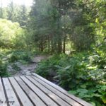 Randonnée avec nos chiens-loups dans le Tatras en Slovaquie - L'Orée du Loup