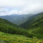 Randonnée avec nos chiens-loups dans le Tatras en Slovaquie - L'Orée du Loup