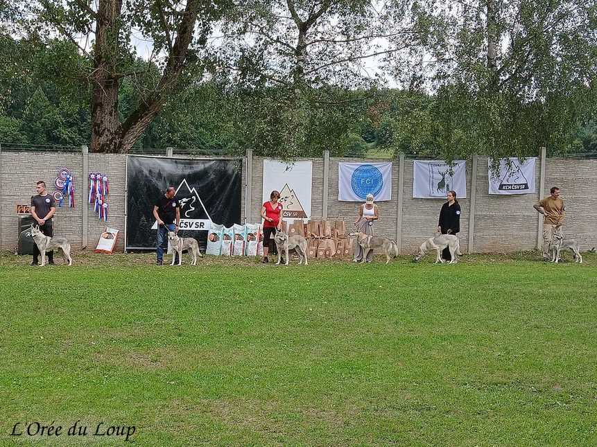exposition canine en Slovaquie - l'Orée du Loup
