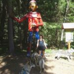 Randonnée avec nos chiens-loups dans le Tatras en Slovaquie - L'Orée du Loup