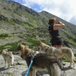 Randonnée avec nos chiens-loups dans le Tatras en Slovaquie - L'Orée du Loup