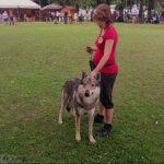 exposition canine en Slovaquie - L'Orée du Loup