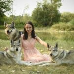 shooting photo chien-loup tchécoslovaque