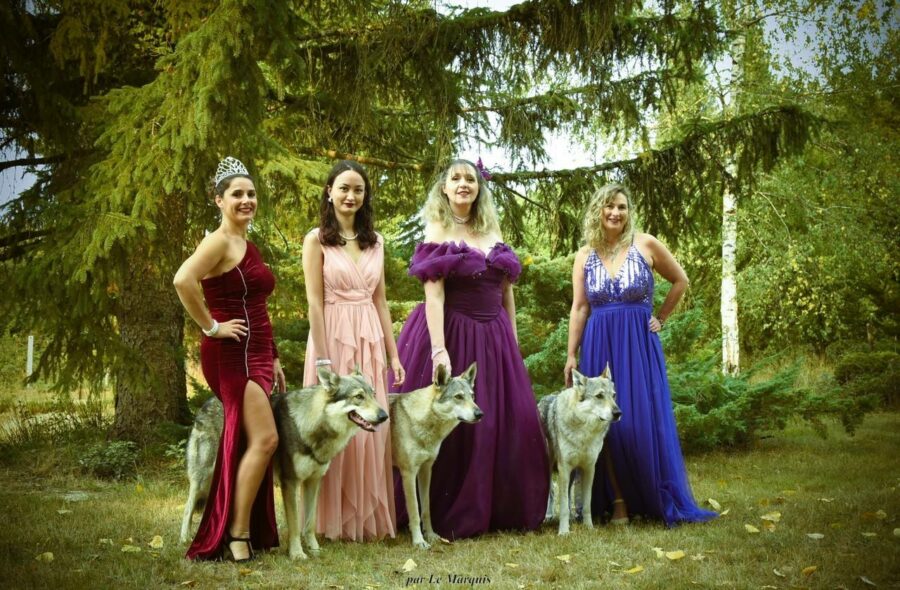 shooting photo chien-loup tchécoslovaque