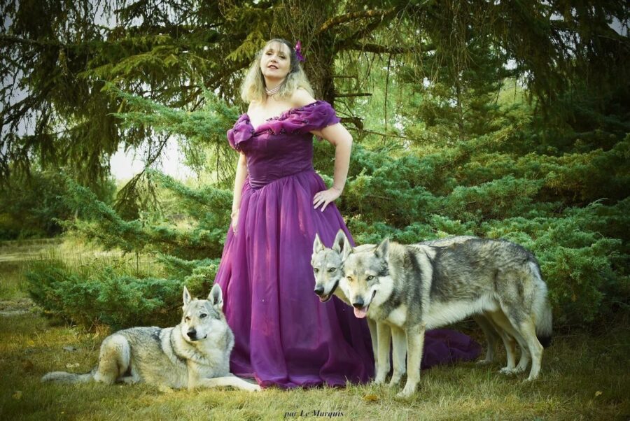 shooting photo chien-loup tchécoslovaque