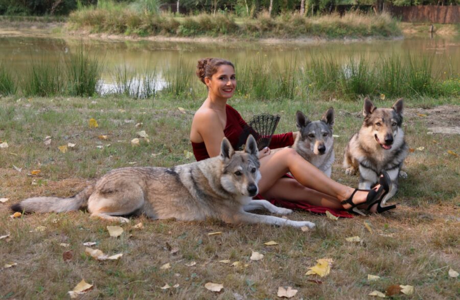 shooting photo chien-loup tchécoslovaque