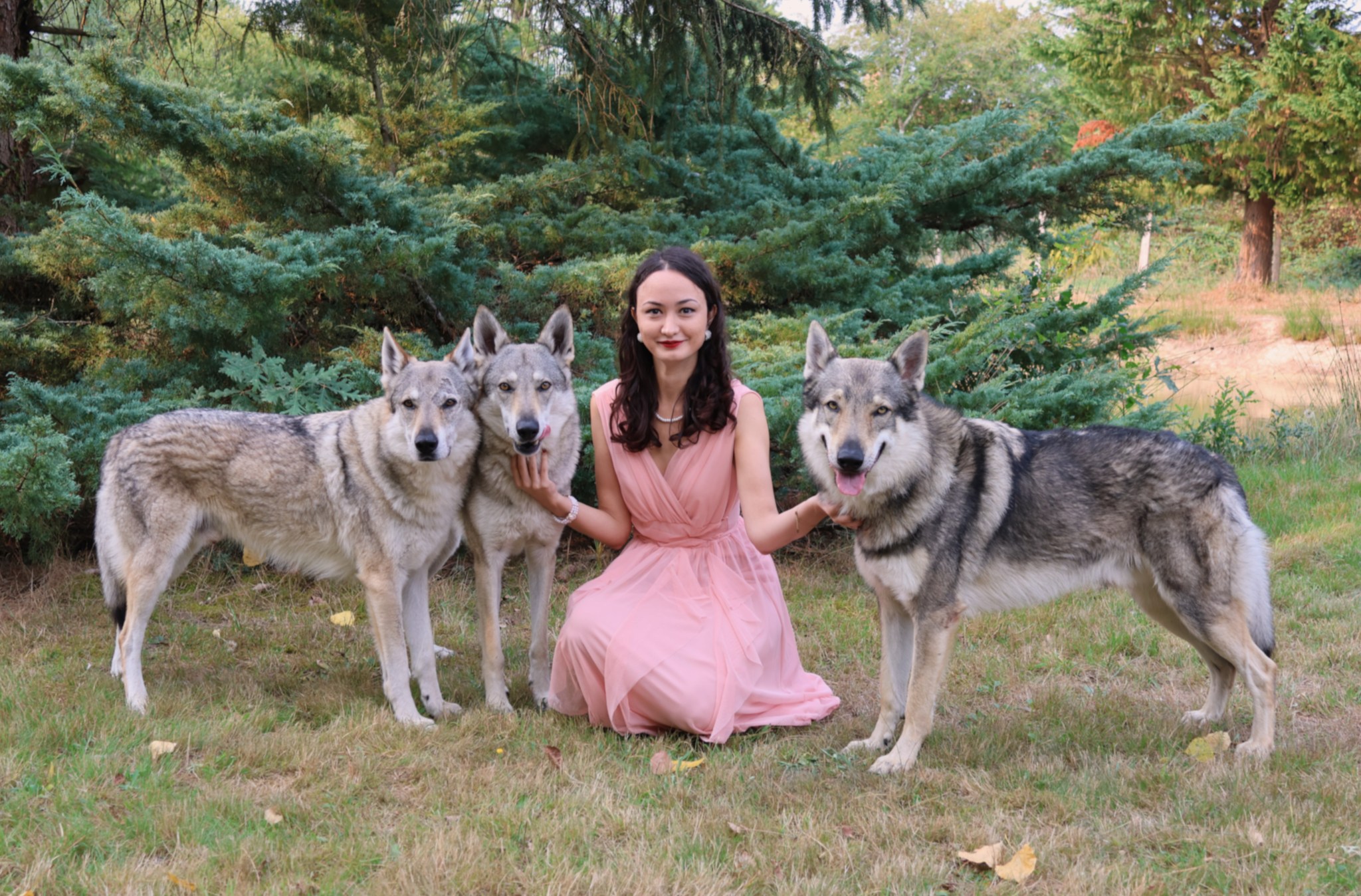 shooting photo chien-loup tchécoslovaque