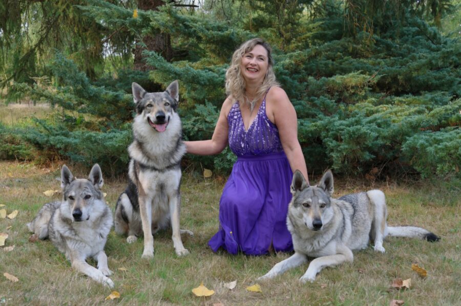 shooting photo chien-loup tchécoslovaque