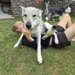 Maywa de L'Oree du loup à 5 mois