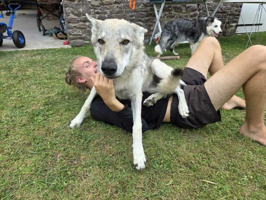 Maywa de L'Oree du loup à 5 mois