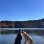 Chien-loup tchécoslovaque Aïka de l'Orée du Loup à 8 mois