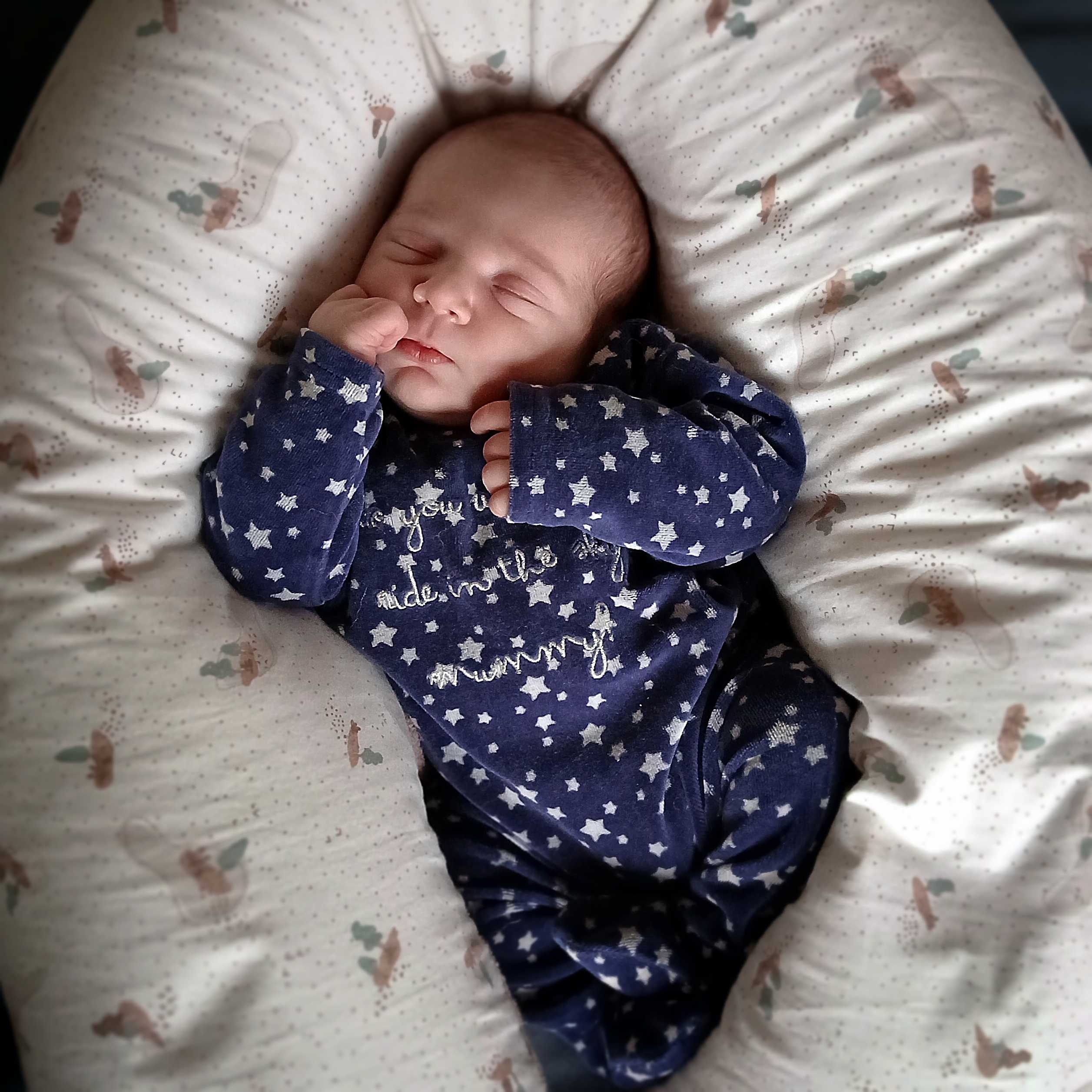 naissance humaine à l'Orée du Loup